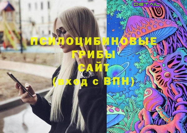 индика Володарск