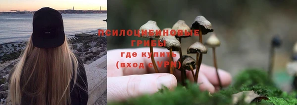 ALPHA-PVP Узловая