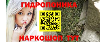 прущие крисы Абакан