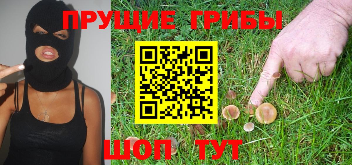 Псилоцибиновые грибы Magic Shrooms Анжеро-Судженск