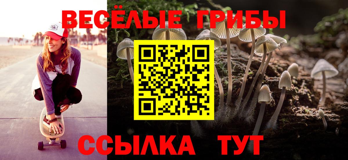 Галлюциногенные грибы прущие грибы  Псилоцибиновые грибы Psilocybe  Вход с VPN  Анжеро-Судженск 